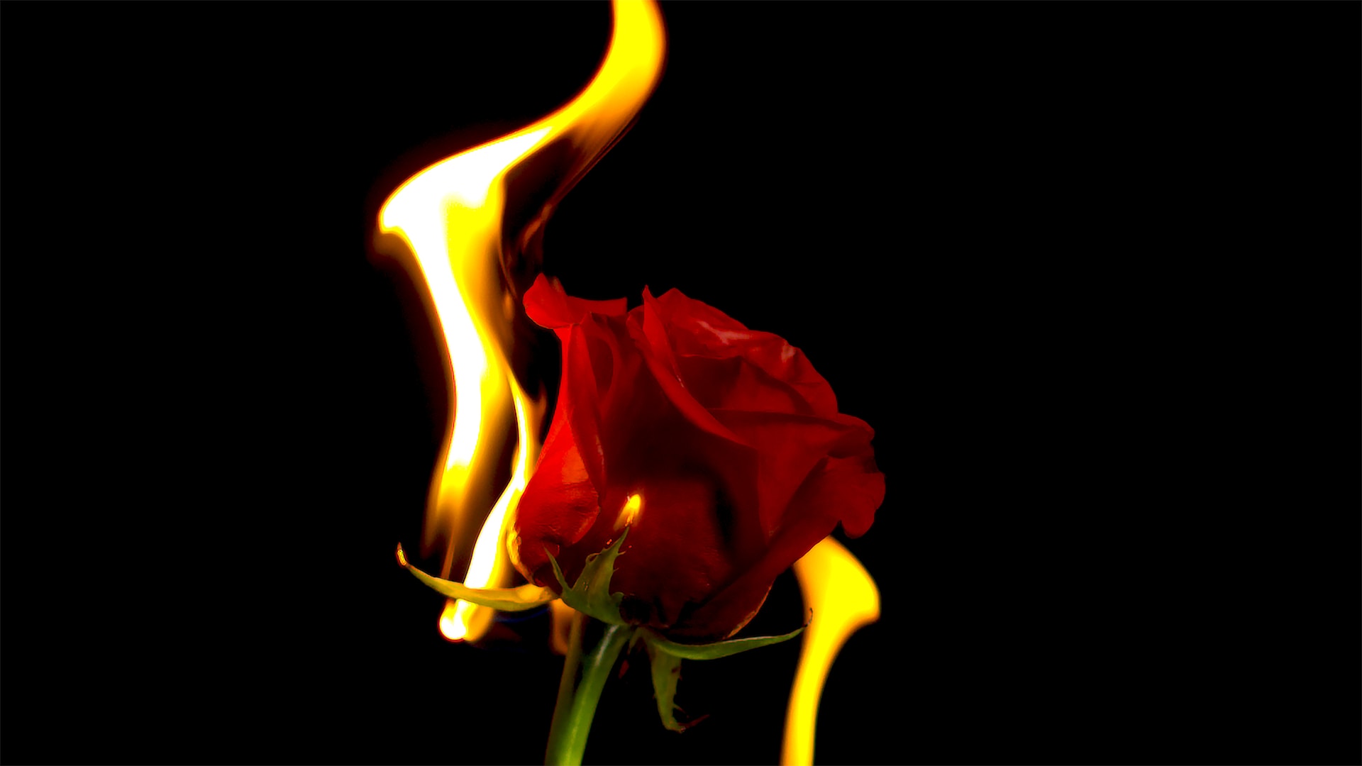 دلایل رد و ریجکت پرونده اپلای ابرود